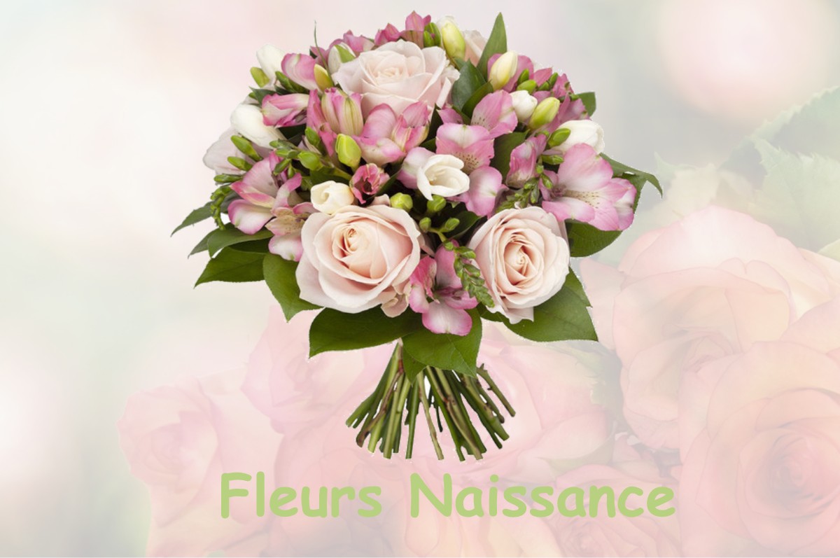 fleurs naissance FLEURY-MEROGIS